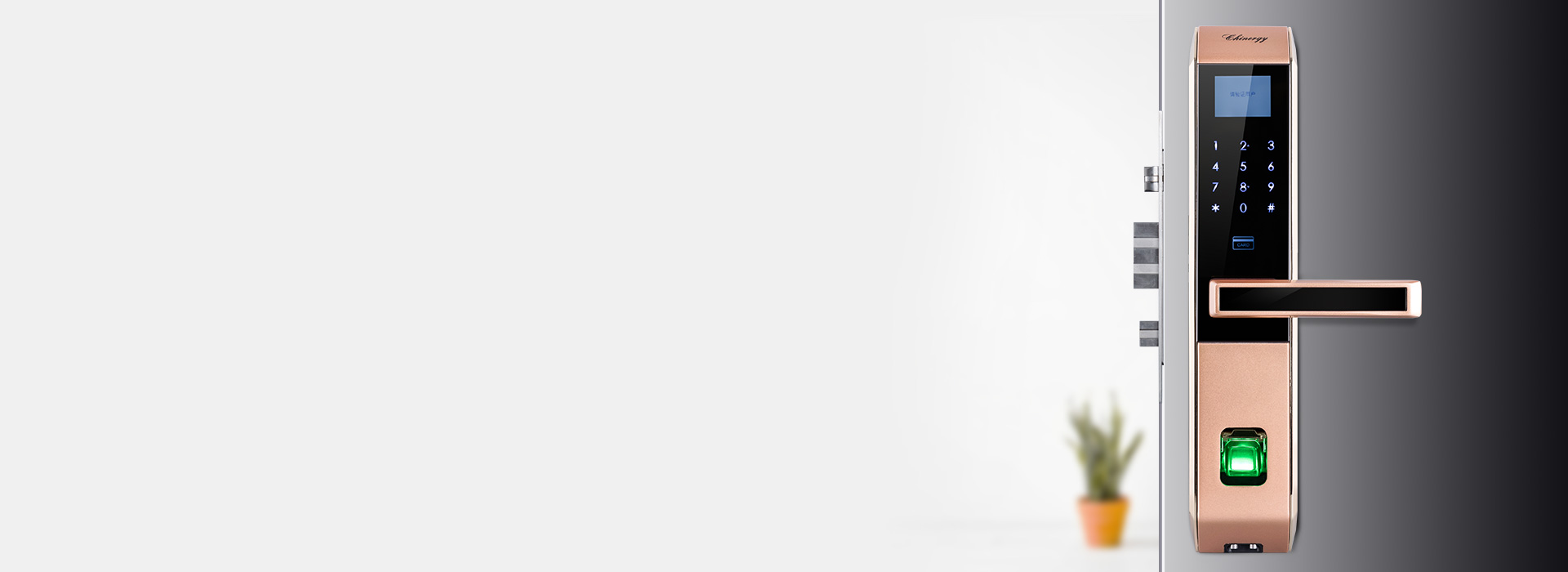 虛位密碼保護，虛實結合 正泰智能鎖LO...