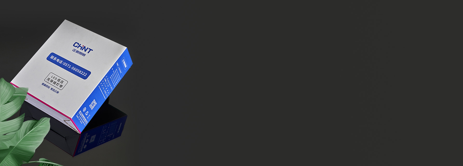 品質包裝，高端格調 正泰照明低壓燈帶D...