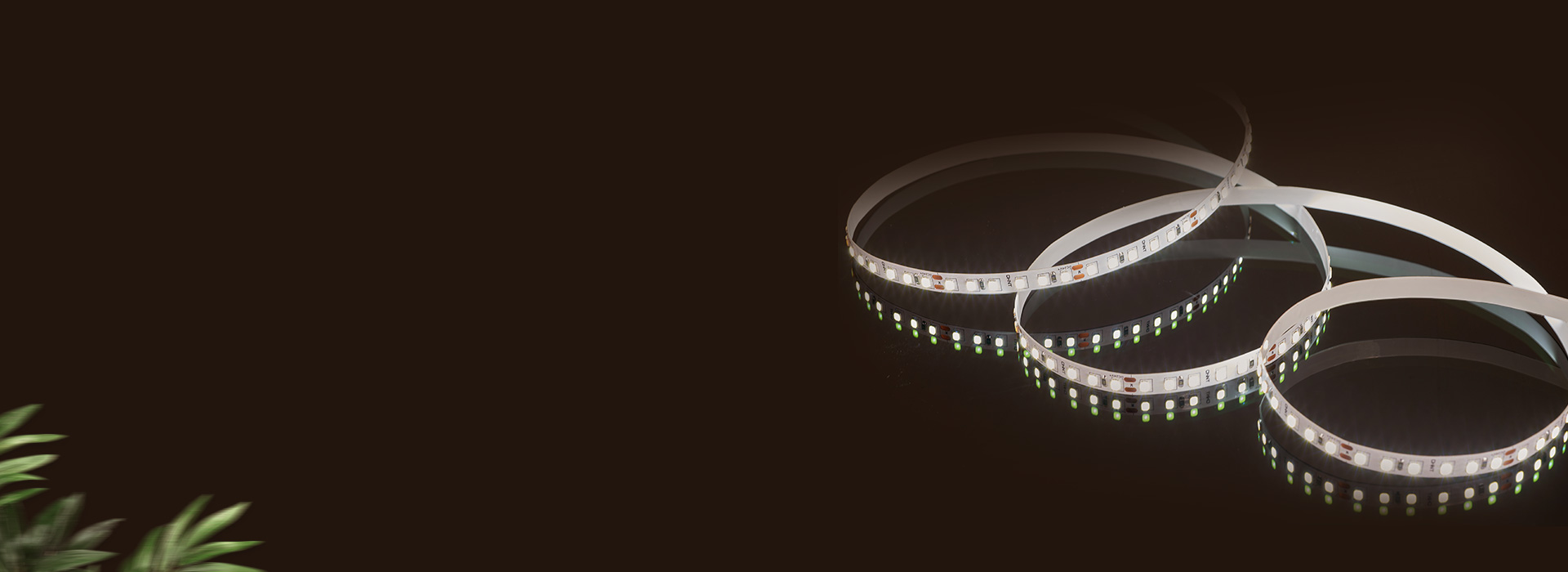 低壓燈帶：DD30A系列 低壓安全，柔...